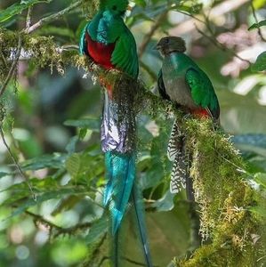 Meet your Posher, Isa